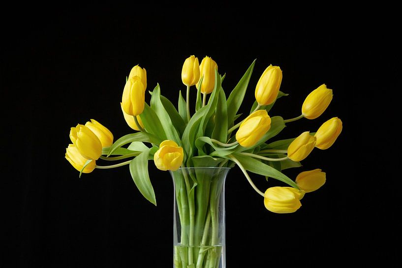 Tulipes jaunes dans un vase en cristal. par Janny Beimers