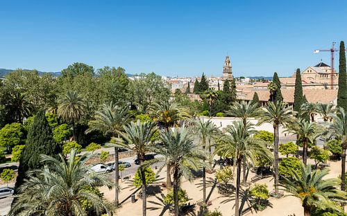 cordoba city skyline with the mezdina seen from the alcazar