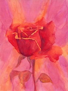 Rote rote Rose Triptychon Teil eins