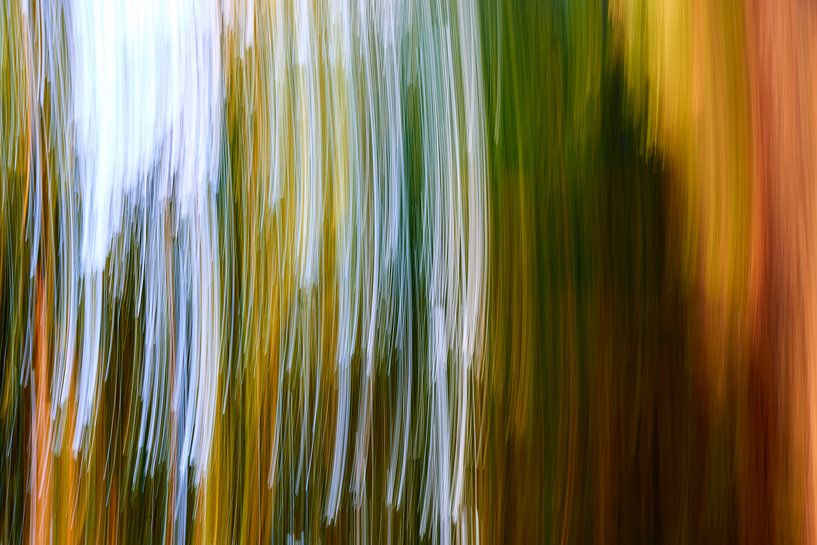 Forest, abstract by Jenco van Zalk