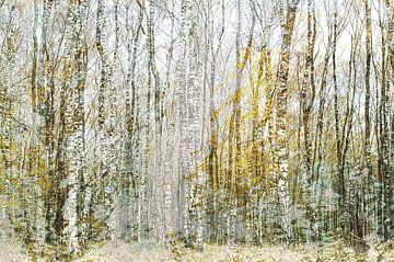 Gold und Silber (kreative Bearbeitung von Birkenbäumen in Gold- und Silbertönen) von Birgitte Bergman