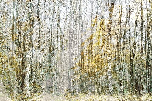 Gold and silver (creatieve bewerking van Berkenbomen in goud en zilveren tinten)