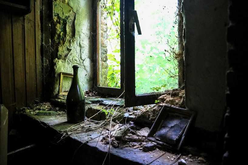 Window by Wonderland of Decay