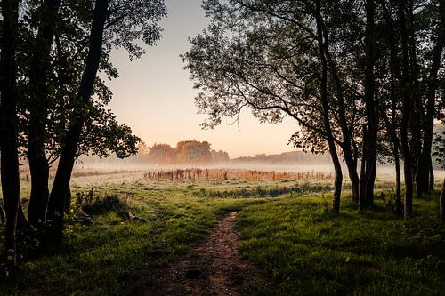 Blick vom Leeuwarder Bos