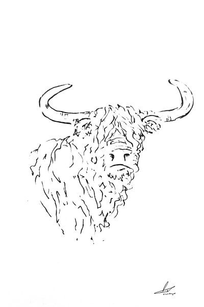 Scottish highlander - minimalist drawing in white black frontal horns up by Emiel de Lange
