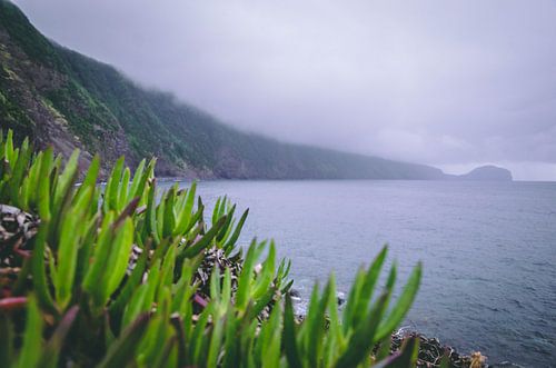 misty landscape Azores
