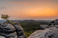 Coucher de soleil à Gohrisch dans les montagnes de grès de l'Elbe par Marc-Sven Kirsch Aperçu