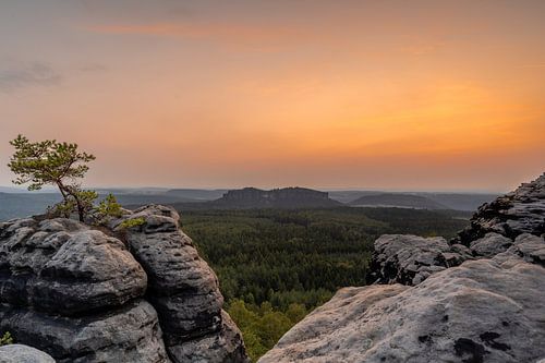 Zonsondergang bij Gohrisch in het Elbezandsteengebergte
