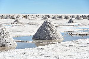 Weißes Salz, der Schatz von Uyuni