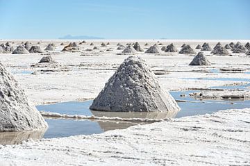 Wit zout, de schat van Uyuni van Frank Photos