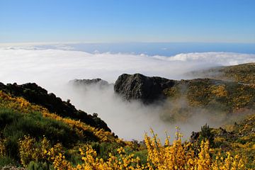 Vues éternelles sur Foto Moments by M. J. Leenders