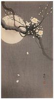 Ohara Koson - Witte pruim met maan (bewerkt)