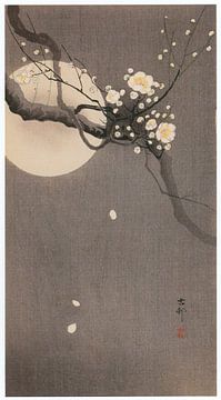 Ohara Koson - White plum with moon (edited) by Peter Balan