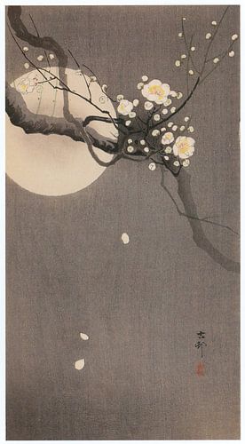 Ohara Koson - Weiße Pflaume mit Mond (bearbeitet) von Peter Balan