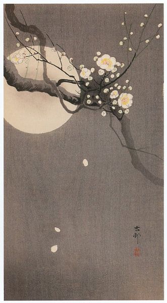 Ohara Koson - White plum with moon (edited) by Peter Balan