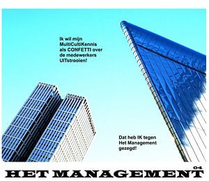 Das Management - Verbreitung von MultiCulti-Wissen