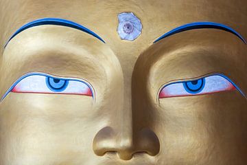 Eyes of the Buddha by Adri Klaassen