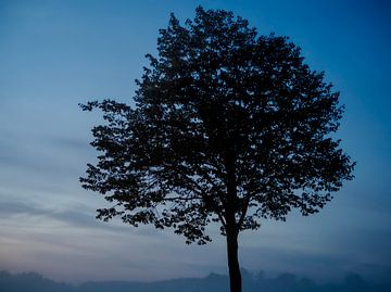 Silhouette von Roger Trelou