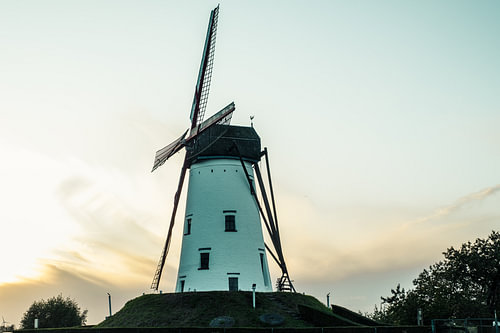 die Mühle