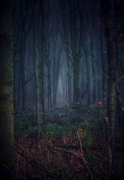 The demon in the woods (kleur) van Maickel Dedeken