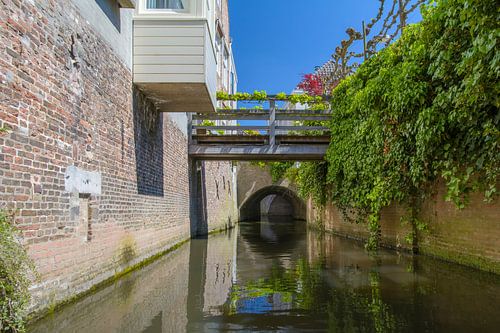 Inside in Den Bosch