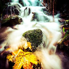 Yellow autumn leaves in a waterfall near Winterberg by Björn Jeurgens