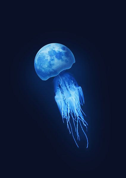 Jelly Moon par 360brain