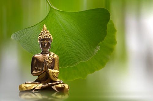 Bouddha sur Violetta Honkisz