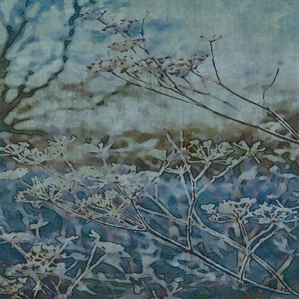 NATURE AQUARIUS by Kelly Durieu