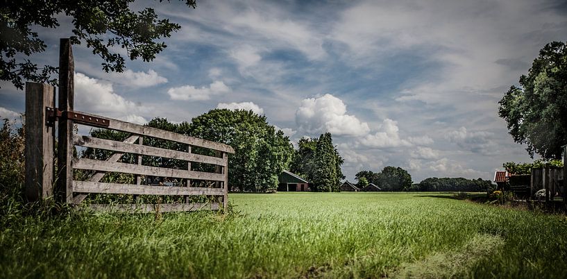 farmland by Freddy Hoevers