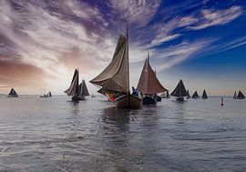 Bottlers in full sail by Brian Morgan