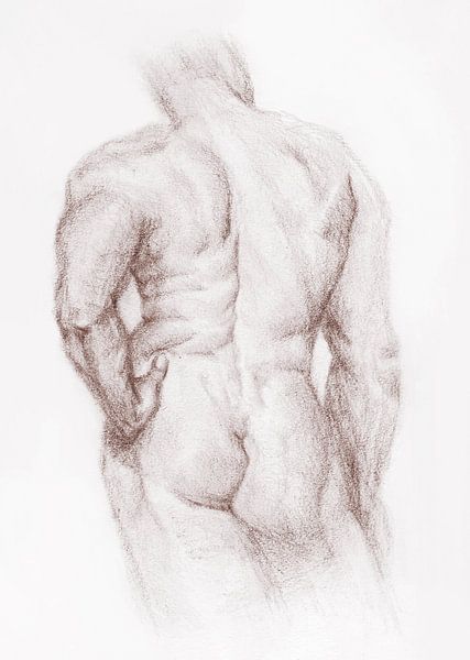 Sketch Man Nude back view brown white par Krista Kitsz Art