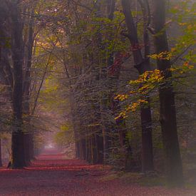 Beautiful autumn morning von Shefalie Guha Roy Thakurta