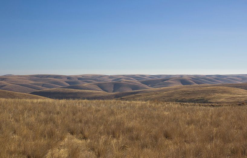 Rolling Hills, Oregon trail USA von Jeanine Verbraak