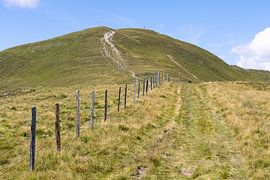 Clôture de poteaux en bois dans un alpage autrichien