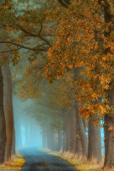 Lumière d'automne par Lars van de Goor