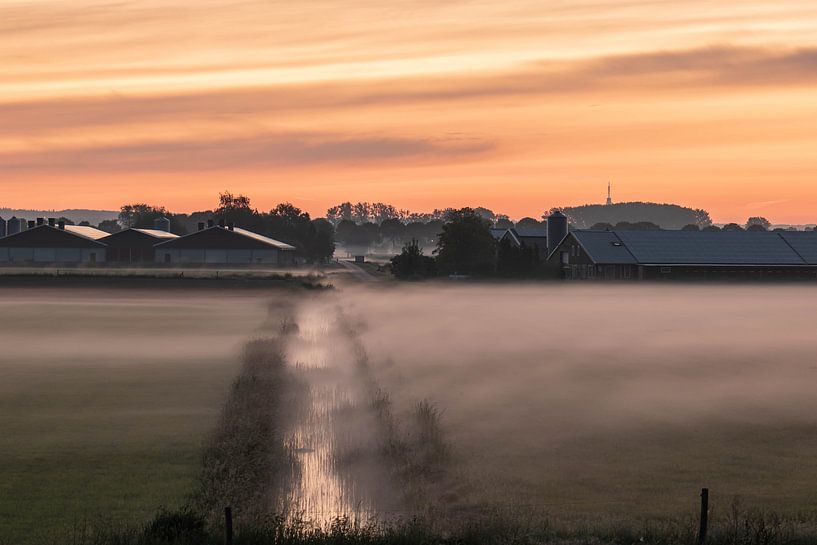 neblige Landschaft von Tania Perneel