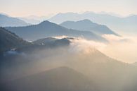 Ein nebeliger Morgen in den Bayerischen Alpen von Daniel Gastager Miniaturansicht