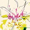 Open Tulip Color - digital art van Ankie Kooi