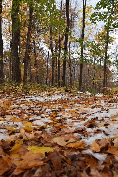 Une première neige à l'automne par Claude Laprise