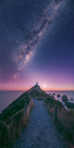 Nieuw-Zeeland Nugget Point Lighthouse Melkweg Vertorama