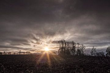Sonnenaufgang Eyserbos von Rob Boon