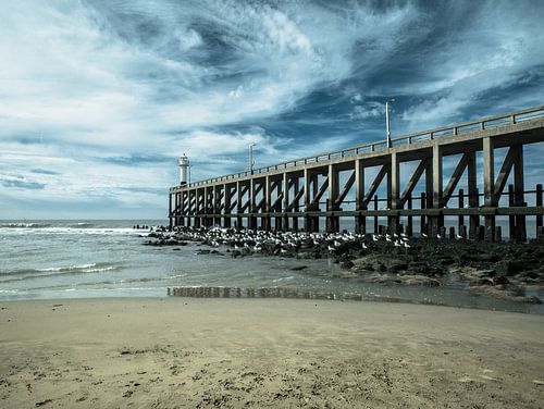 Pier Blankenberge, België
