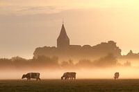 Sunrise Steenderen