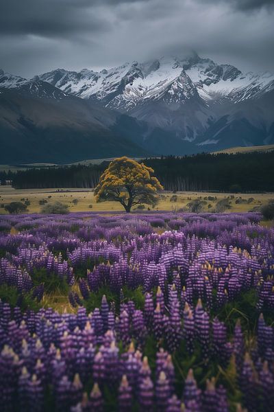 Lavendel vor Bergen von fernlichtsicht