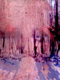 Trackless Purple by Iris-Alexandra Hass