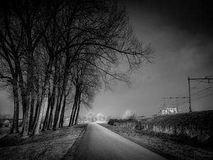 Between tracks and trees von Ruud Peters