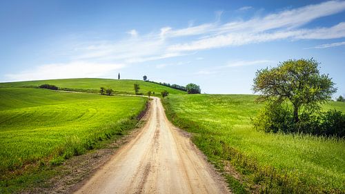Via Francigena pad, platteland van Toscane, Italië
