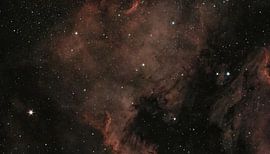 Red Cosmic Stellar Nursery North America Nebula by Markus Gann