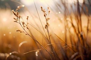 Golden Sunrise